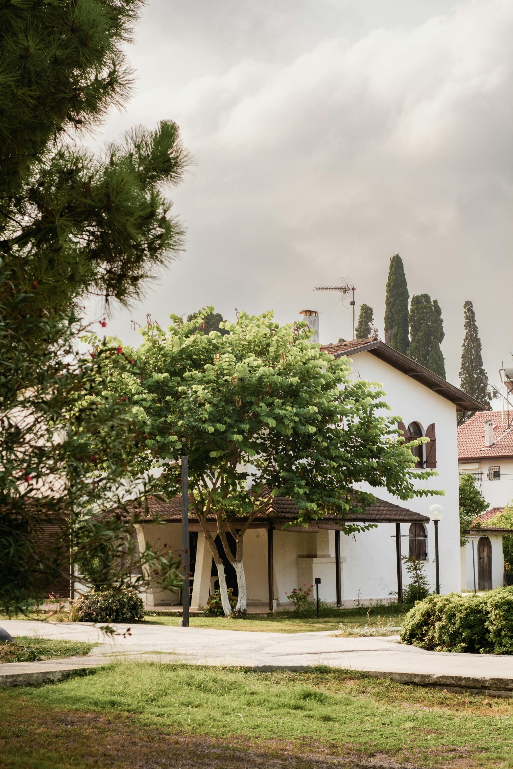 pretty house surrounded by trees