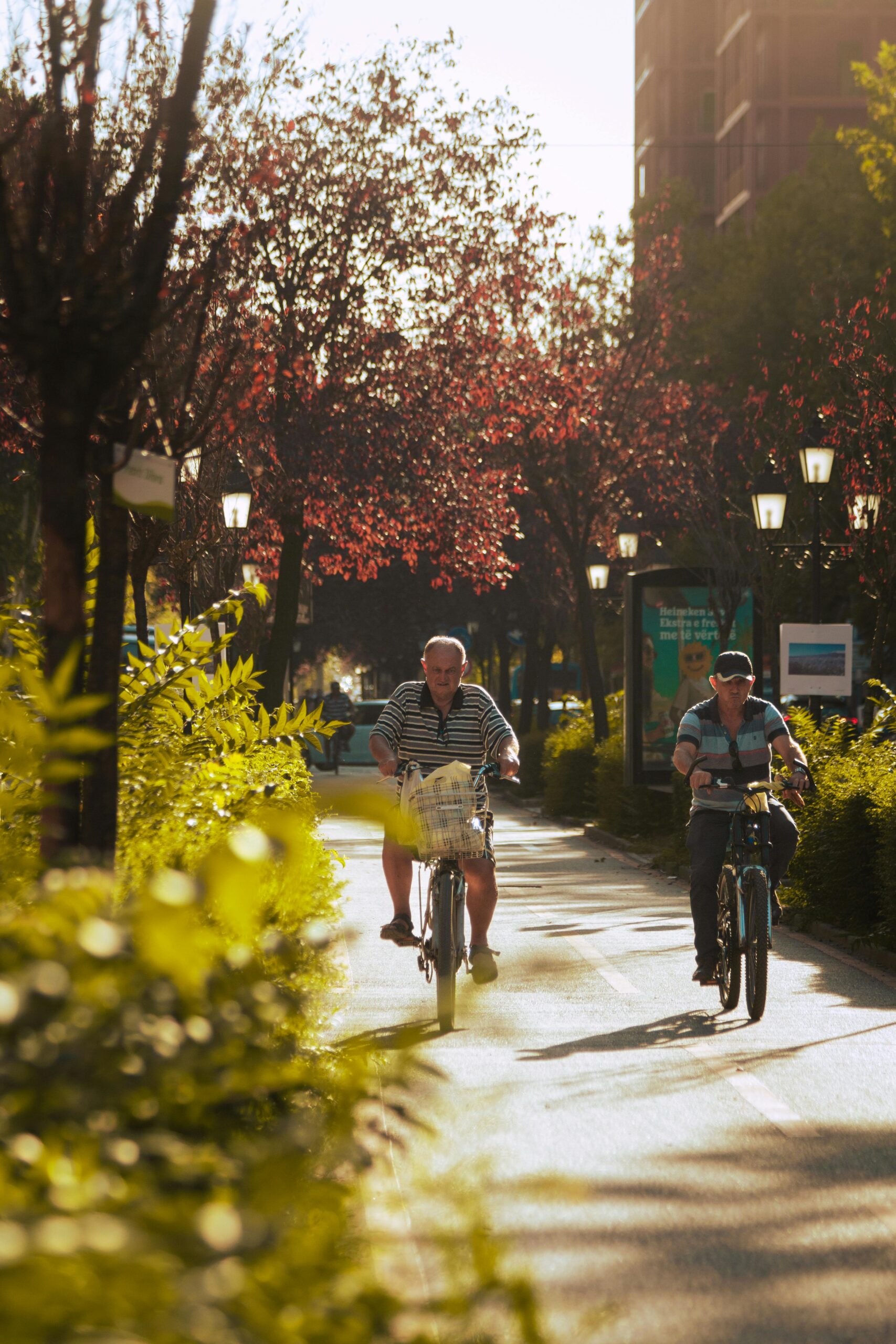 Elderly men riding bicycles